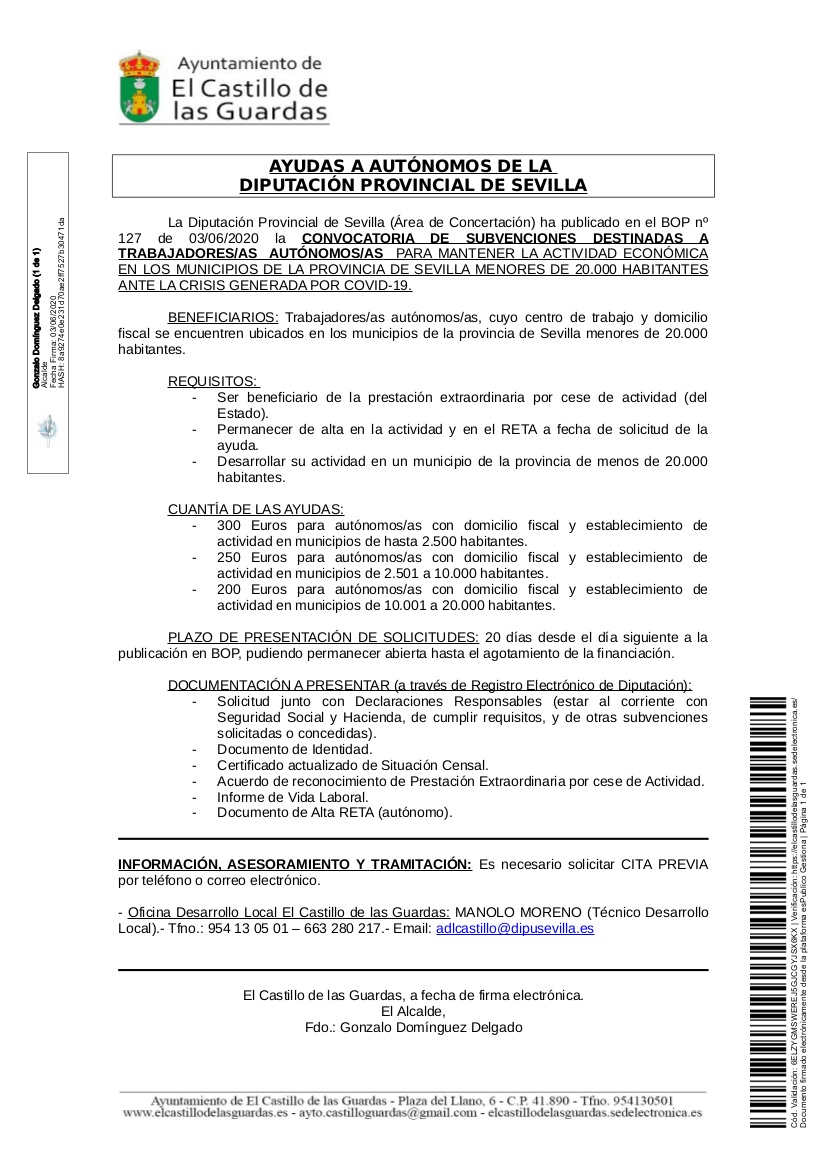 Cartel Ayudas Autonomos Diputacion Provincial 2020